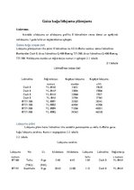 Referāts 'Gaisa kuģa lidojuma komercaprēkins un lidojumu plānojums', 13.