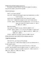 Referāts 'Gaisa kuģa lidojuma komercaprēkins un lidojumu plānojums', 17.