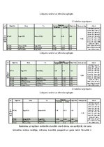 Referāts 'Gaisa kuģa lidojuma komercaprēkins un lidojumu plānojums', 20.