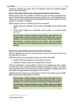 Referāts 'Piena lopkopības biznesa vide', 17.