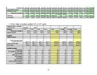 Biznesa plāns 'Viesu nama biznesa plāns', 30.