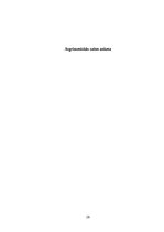 Referāts 'Pašvirzīts izglītošanās process sporta stundās', 20.