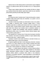 Konspekts 'Izlīgums kā alternatīvs strīda risināšanas rezultāts', 14.