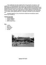 Referāts 'Igauņu tautas kultūra', 4.