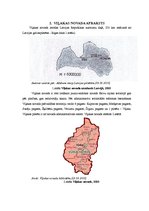 Referāts 'Viļakas novada 2010.gada budžeta analīze', 6.