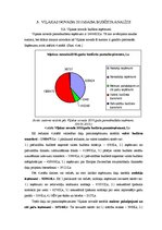 Referāts 'Viļakas novada 2010.gada budžeta analīze', 8.