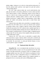 Diplomdarbs 'Produkta konkurētspējas novērtējums digitālā mārketinga uzņēmumā', 33.