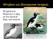 Prezentācija 'Extinct Animals', 8.