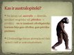 Prezentācija 'Australopiteks', 2.