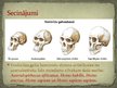 Prezentācija 'Australopiteks', 8.