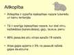 Prezentācija 'Lopkopība', 10.
