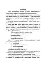 Biznesa plāns 'SIA "Nestors"', 2.