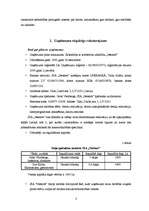 Biznesa plāns 'SIA "Nestors"', 3.