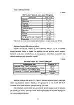 Biznesa plāns 'SIA "Nestors"', 12.