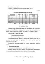 Biznesa plāns 'SIA "Nestors"', 13.