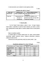 Biznesa plāns 'SIA "Nestors"', 14.