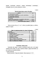 Biznesa plāns 'SIA "Nestors"', 16.