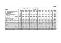 Biznesa plāns 'SIA "Nestors"', 20.