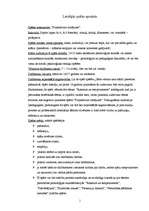 Konspekts 'Lietišķās spēles apraksts un analīze', 1.