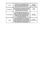 Konspekts '20.gadsimta kultūra', 2.