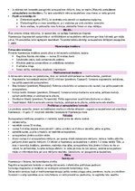 Prezentācija 'Primāra arteriāla hipertensija', 19.