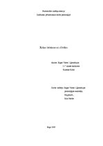 Referāts 'Krāsu ietekme uz cilvēku', 1.