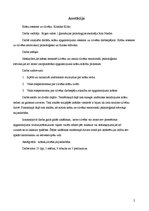 Referāts 'Krāsu ietekme uz cilvēku', 2.