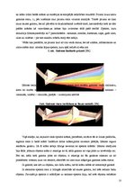 Referāts 'Krāsu ietekme uz cilvēku', 10.