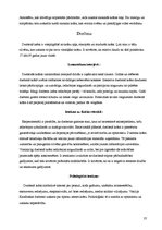 Referāts 'Krāsu ietekme uz cilvēku', 37.