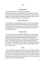 Referāts 'Krāsu ietekme uz cilvēku', 41.