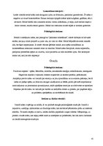 Referāts 'Krāsu ietekme uz cilvēku', 42.