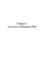 Biznesa plāns 'Business Plan ', 2.