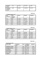 Biznesa plāns 'Business Plan ', 20.