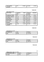 Biznesa plāns 'Business Plan ', 21.