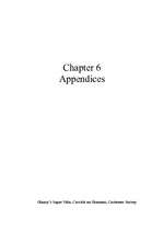 Biznesa plāns 'Business Plan ', 74.