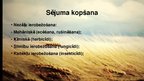 Prezentācija 'Augkopība', 16.
