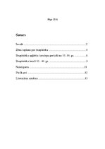 Referāts 'Bruņinieku ekipējums 13.-14.gadsimtā', 2.