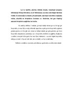 Referāts 'Bruņinieku ekipējums 13.-14.gadsimtā', 4.