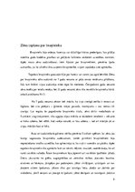 Referāts 'Bruņinieku ekipējums 13.-14.gadsimtā', 5.