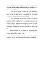 Referāts 'Bruņinieku ekipējums 13.-14.gadsimtā', 6.