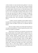 Referāts 'Bruņinieku ekipējums 13.-14.gadsimtā', 8.