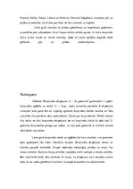 Referāts 'Bruņinieku ekipējums 13.-14.gadsimtā', 12.