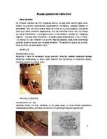 Referāts 'Leonardo da Vinči mehānismi', 6.