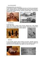 Referāts 'Leonardo da Vinči mehānismi', 9.