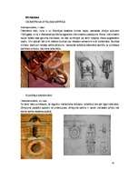 Referāts 'Leonardo da Vinči mehānismi', 10.