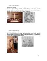 Referāts 'Leonardo da Vinči mehānismi', 22.