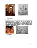 Referāts 'Leonardo da Vinči mehānismi', 25.