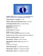 Referāts 'Čehija', 13.