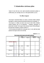 Referāts 'ZS attīstības plāns', 16.