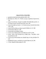 Referāts 'Personas saukšana pie kriminālatbildības procesuālā kārtība', 17.